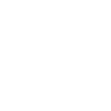 蒸安守護職 白虎守