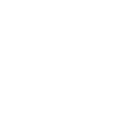 蒸安響楽団 藤組